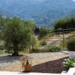 Apiculteur * Oletta (Corsica)