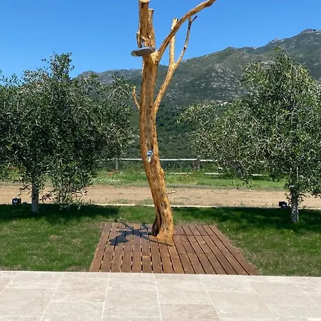 Apiculteur Oletta (Corsica)