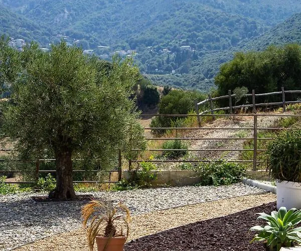Apiculteur * Oletta (Corsica)