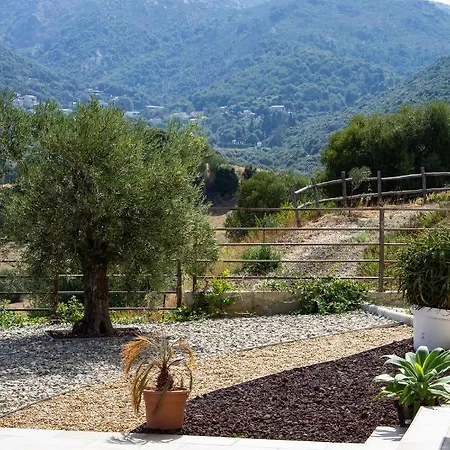 Apiculteur * Oletta (Corsica)