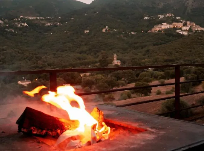 Appartement Apiculteur Oletta (Corsica)