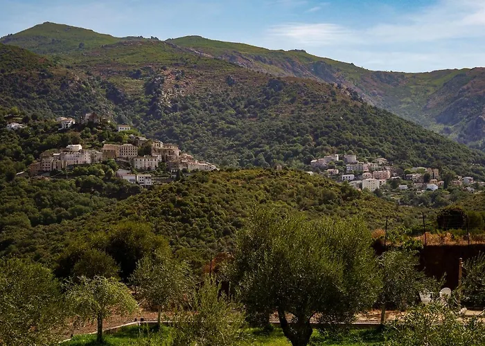 Apiculteur * Oletta (Corsica)