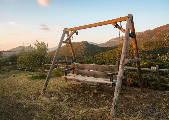 Apiculteur Oletta (Corsica)