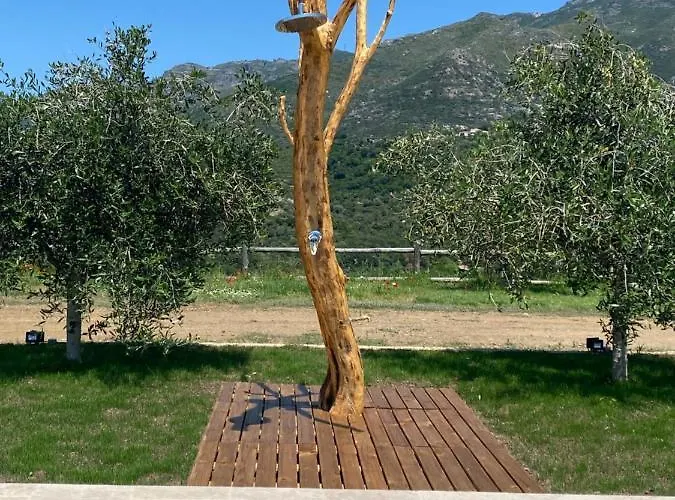 Apiculteur Oletta (Corsica)